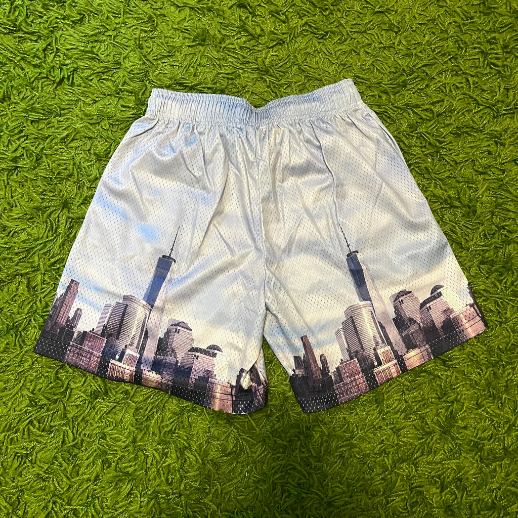 Eric Emanuel EE Basic Skyline mesh Shorts